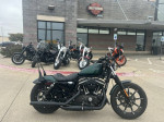 used 2021 Harley-Davidson Iron 883