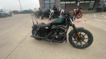 used 2021 Harley-Davidson Iron 883