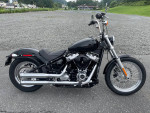 2020 HARLEY DAVIDSON SOFTAIL STANDARD FINANCING AVAILABLE