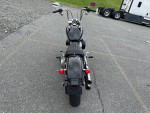 2020 HARLEY DAVIDSON SOFTAIL STANDARD FINANCING AVAILABLE