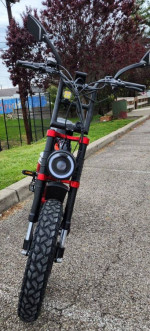 Ariel Rider Grizzly