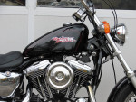 2001 Harley Davidson XL 1200 Sportster Custom (Black) Bike Runs Good!