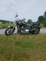 2003 Harley Davidson Lowrider
