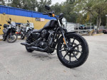 2019 Harley-Davidson® XL 883N - Sportster® Iron 883