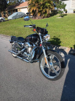 2006 harley 1200 custom