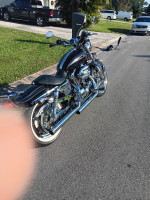 2006 harley 1200 custom
