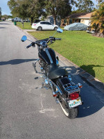 2006 harley 1200 custom