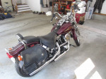 1996 Harley Davidson Softail