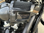 2022 Harley Road Glide ST 117