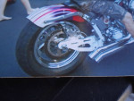 99 CUSTOM SOFTAIL WINTER SPECIAL!!!