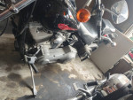 2001  soft tail