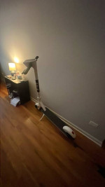 Bird Scooter