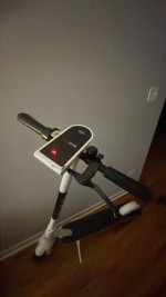 Bird Scooter