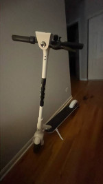 Bird Scooter