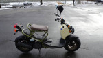 2024 Honda RUCKUS