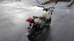 2024 Honda RUCKUS