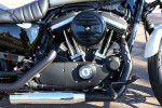 Harley Davidson 2022 Iron 883\XL883N `N10455