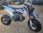 Pitster Pro GPX FSE190 Fat Tire