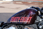 Harley Davidson 2014 Forty-Eight\XL1200X `E41510