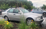 Others 98,000 mi