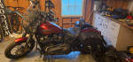 2019 Harley Davidson street bob
