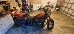 2019 Harley Davidson street bob