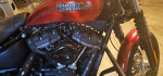 2019 Harley Davidson street bob