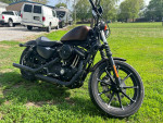 2019 HD XL883