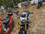 2022 CfMoto CLX 700