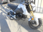2015 HONDA GROM LOADED EXCELLENT