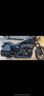 I am selling great 2016 harley davidson 883