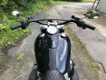 2021 Harley-Davidson Softail FLSL - Slim V Twin 1746