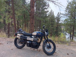 2022 Triumph Street Scrambler Goldline Edition