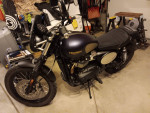 2022 Triumph Street Scrambler Goldline Edition