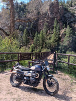 2022 Triumph Street Scrambler Goldline Edition