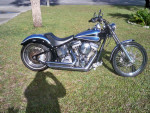 custom softail