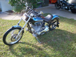 custom softail