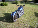 custom softail