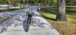 1999 Harley Davidson Softail Standard FXST