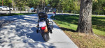 2013 Harley Davidson Fat Boy Lo 103