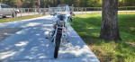 2006 Harley Davidson 883 Sportster Custom