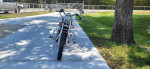 2006 Harley Davidson 883 Sportster Custom