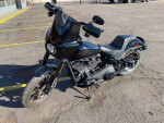 2020 HARLEY-DAVIDSON FXLRS LOW RIDER S