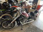2016 Harley Davidson VROD Muscle