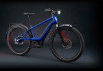 2021 Harley-Davidson® Rush/CTY Speed