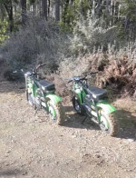 Coleman Mini Bikes BT200x