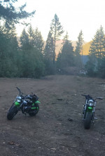 Coleman Mini Bikes BT200x