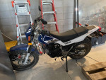 2017 Yamaha TW200 / Literally like new / 1-owner