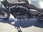HARLEY DAVIDSON SPORTSTER