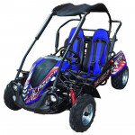 Go Kart - TrailMaster Blazer 200R